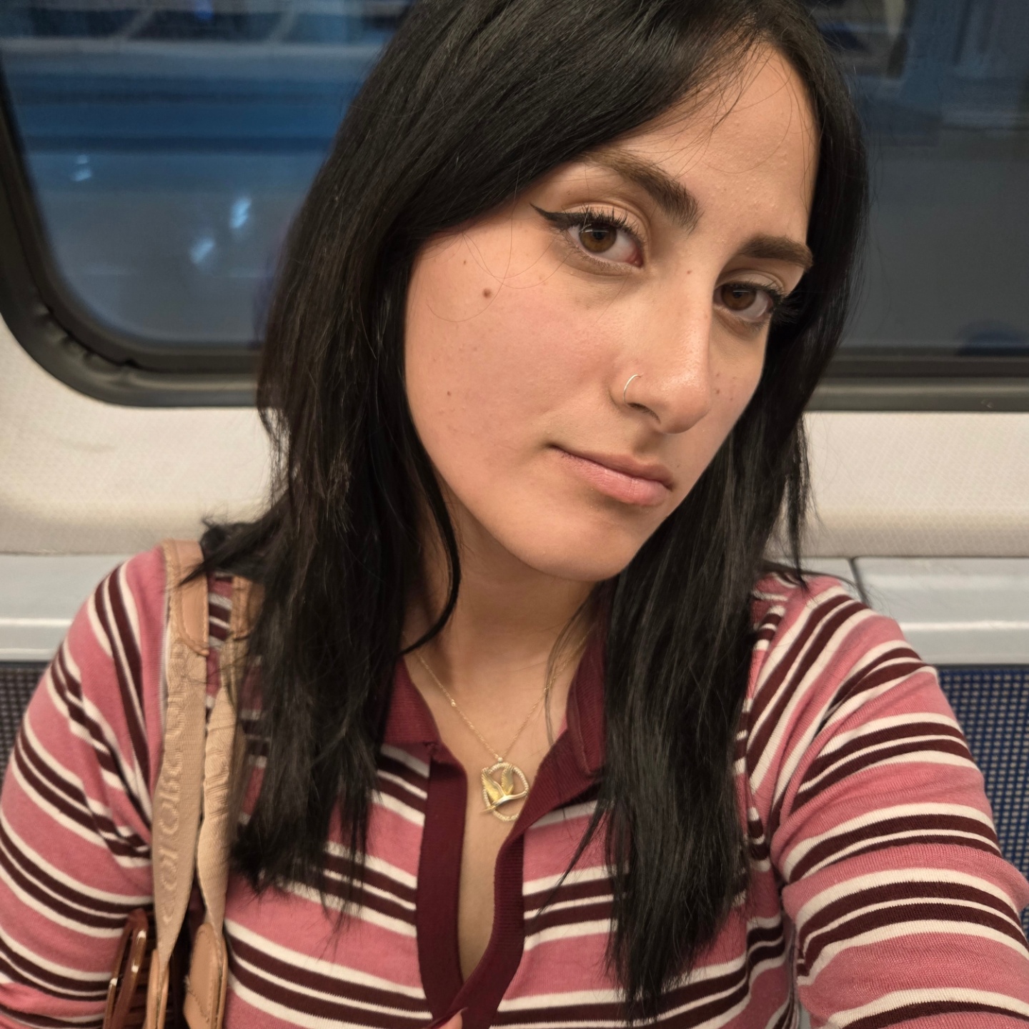 Üniversiteli Ders Veriyor Nilüfer sayılı 